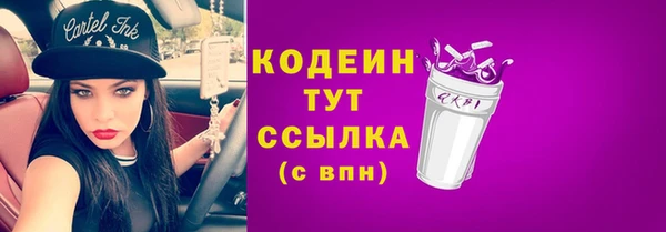 гидра Арсеньев