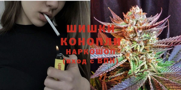 стаф Новодвинск