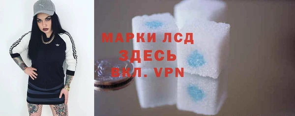 гидра Арсеньев
