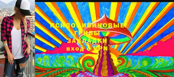 гидра Арсеньев