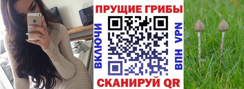 купить  цена  сайты даркнета Telegram  Псилоцибиновые грибы мухоморы  Талица 